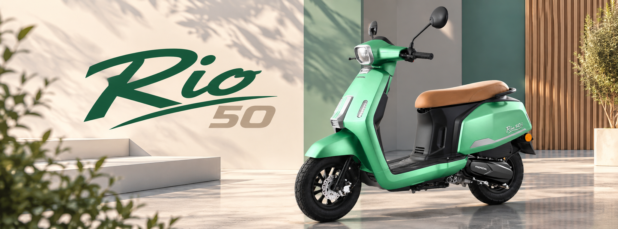 Rio 50